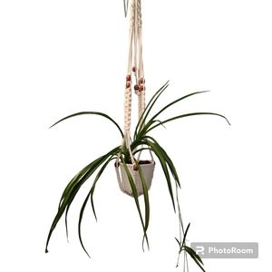 Macrame Plant Hanger NWOT